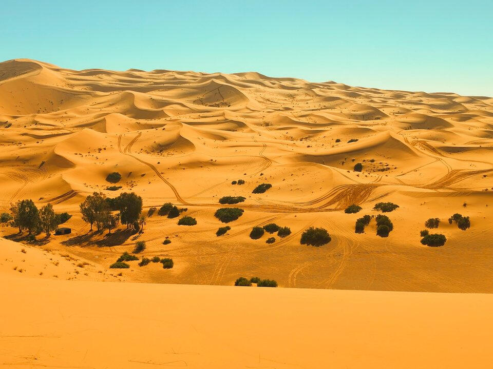 Dunes et palmeraie Dunes et palmeraie
